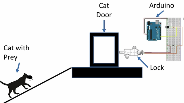 190703_catdoor2