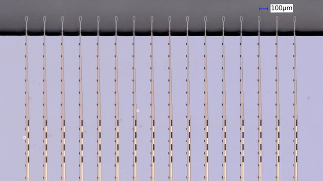 20190717-neuralink-hello-world-04