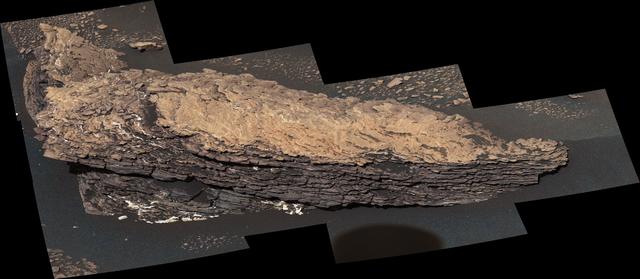 190809_curiosity2