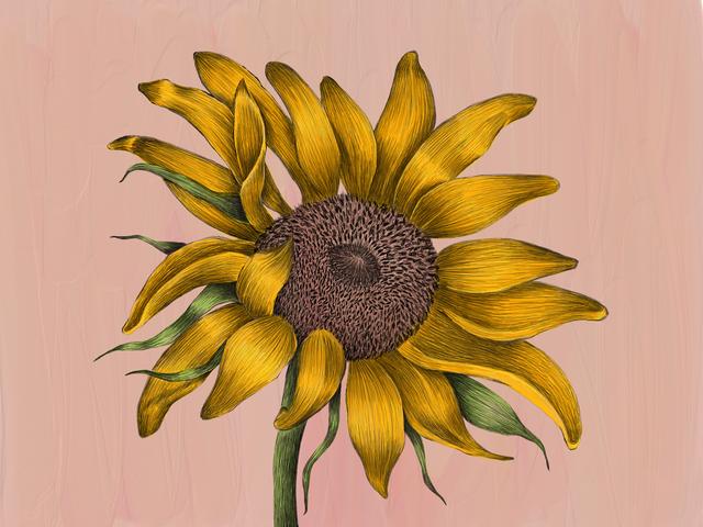 190812_adobe_fresco_hands_on_1