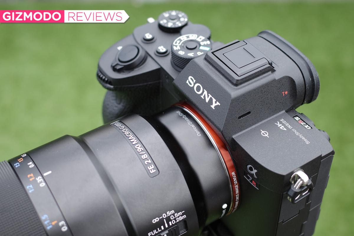 ソニーの新フルサイズミラーレス「α7R IV」レビュー：捉えた世界は 