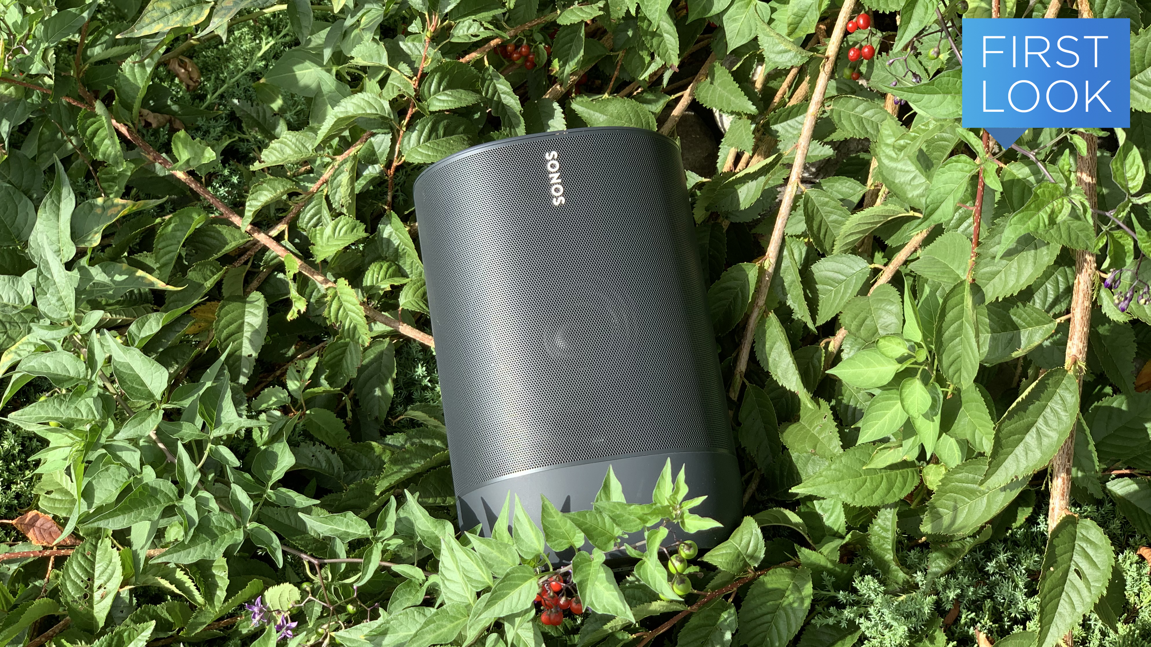 Sonos Move Bluetooth/Network Speaker - スピーカー