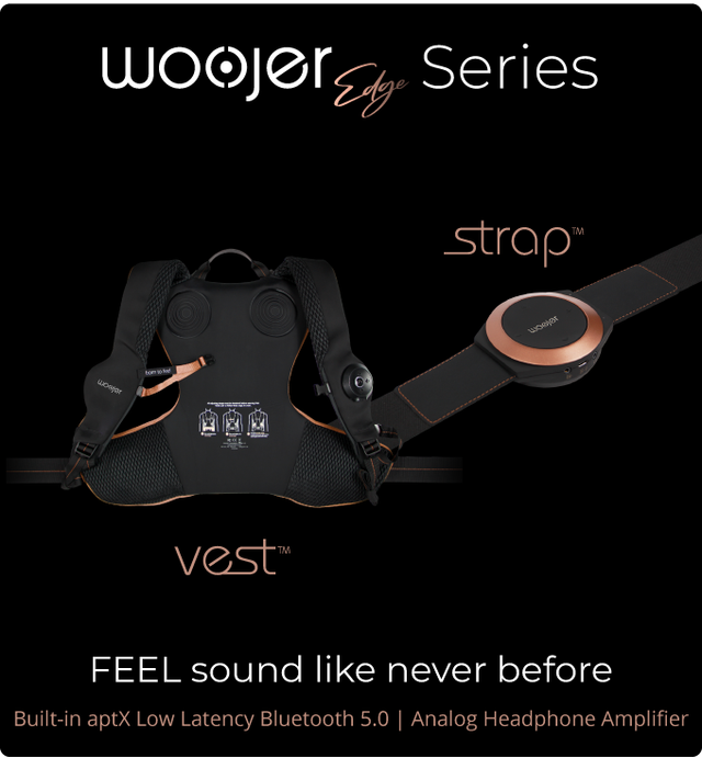 美品☆woojer vest edge ウージャーエッジ ベスト VRベスト-