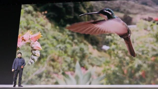 Mate30_2019-9-19_21-46-14_No-00