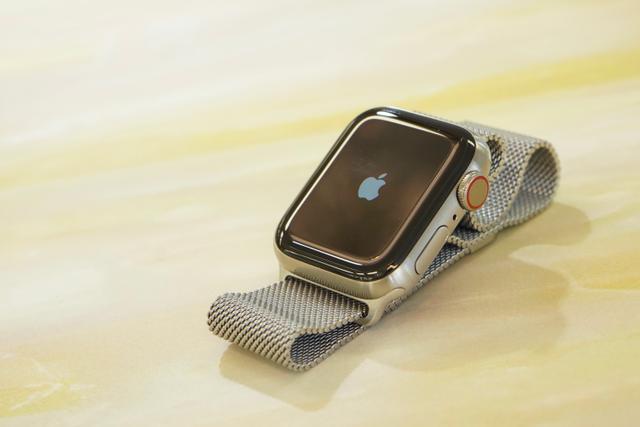 Apple Watch Series5 Edition チタニウムケース