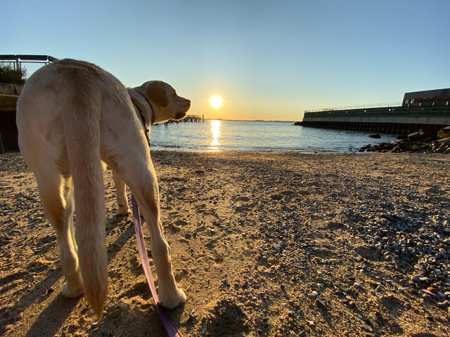 20190924-iphone-11-us-review-slide-10