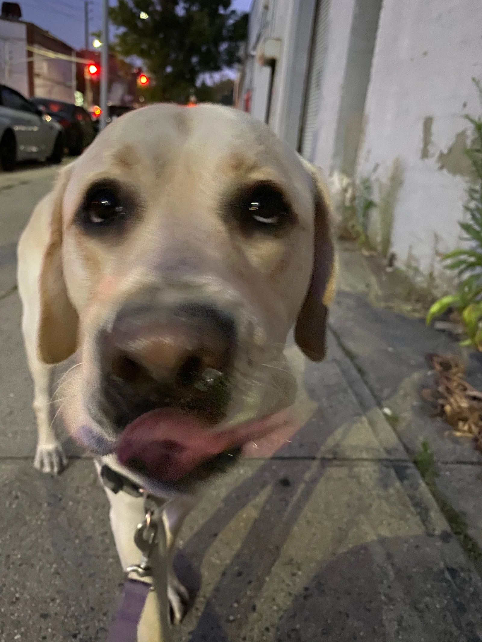 20190924-iphone-11-us-review-slide-17
