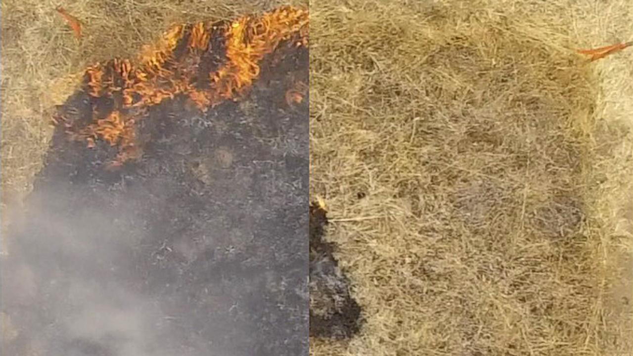 山火事にスタンフォード大学発の新対策。事前にスプレーで火事発生を抑える