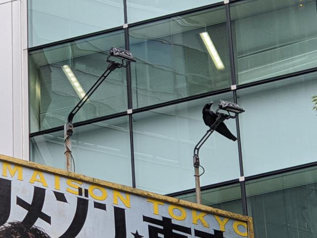 191021pixel4zoom_20
