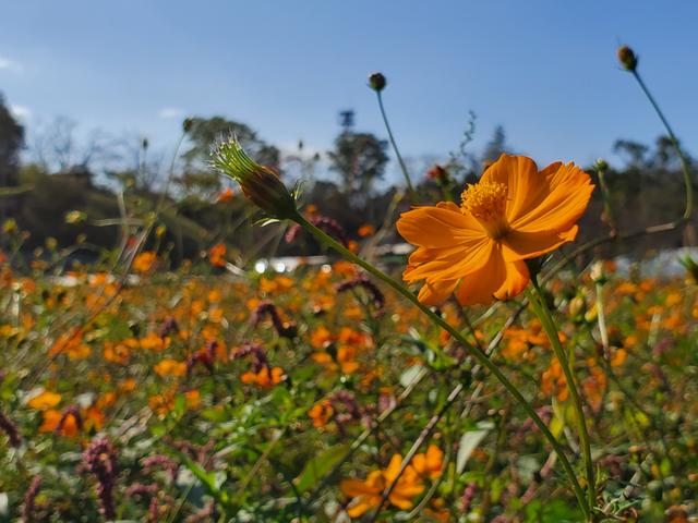 191106galaxynote10-11