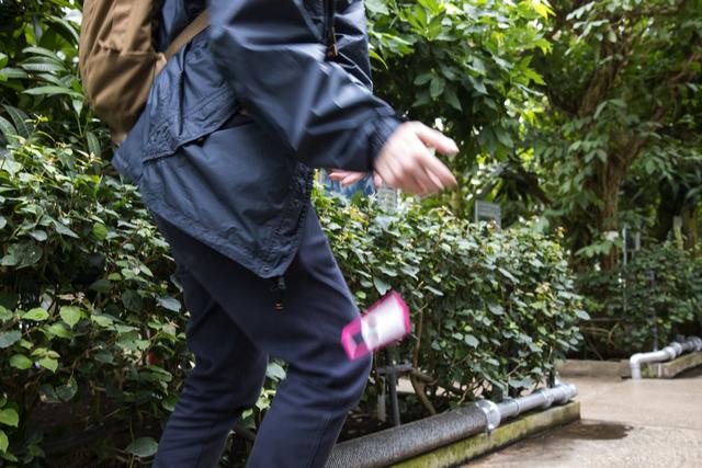 20191224gizmodo_canon_inspicrec_6U9A5023
