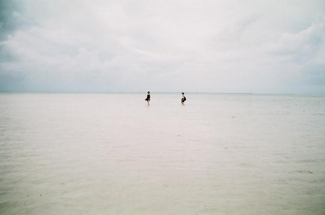 90570033