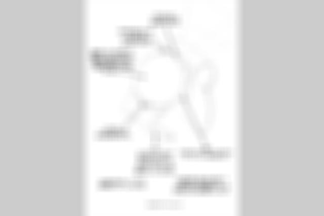 20200123-fugou-keiji-balance-unlimited-gizmodo-gadget-coordinator-02