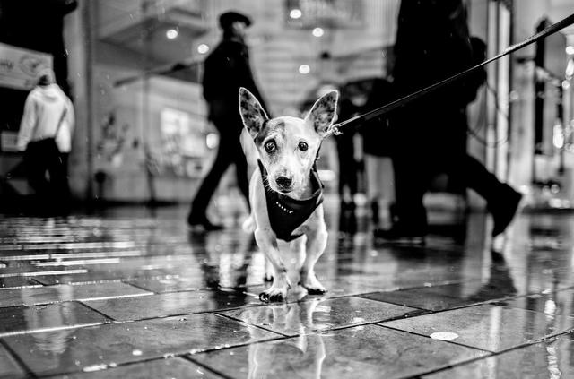 200112_leica_m10_monochrom_7