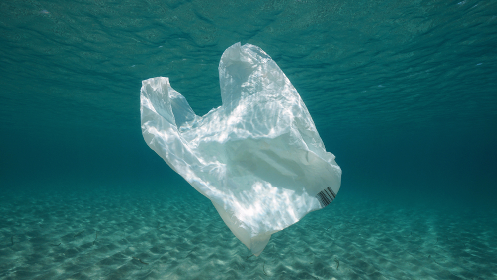 レジ袋よ、母なる海に還るのだ！ テクノロジーはきっと海を救う…よね？
