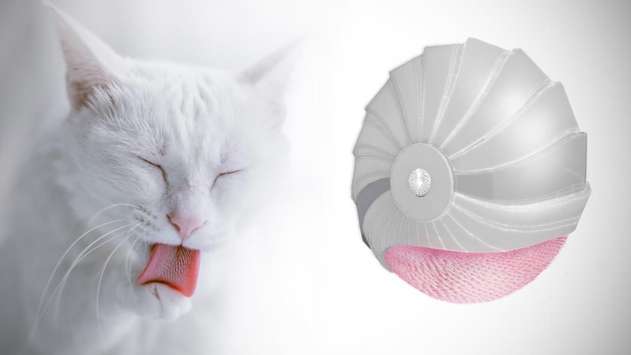 猫舌ボディークリーナーが、Lexus Design Award 2020決勝へ。猫みたいに毛づくろいできるスポンジ