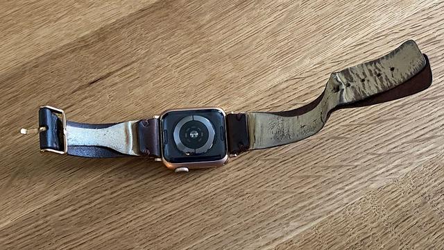 200214Skagen3