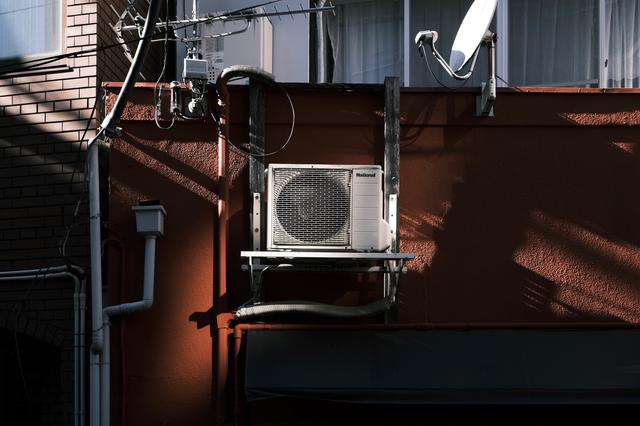 20200226-gizmodo-camera-2020-amito-pic