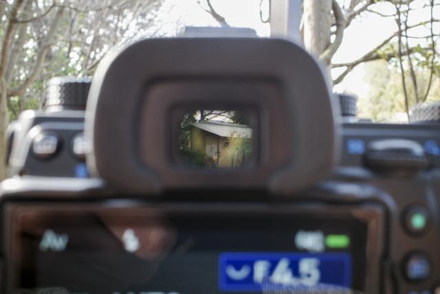 200228dslr_03