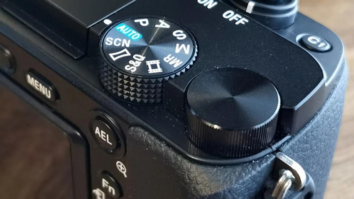 撮る楽しさ広がる。コスパ最強SONY a6100で一眼の世界に羽ばたこう 