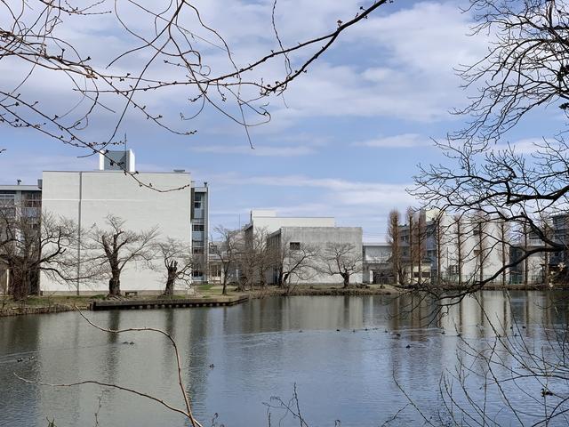 20200321_ohori