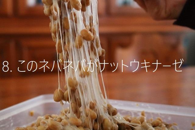 20200421_7_MaxNattokinase