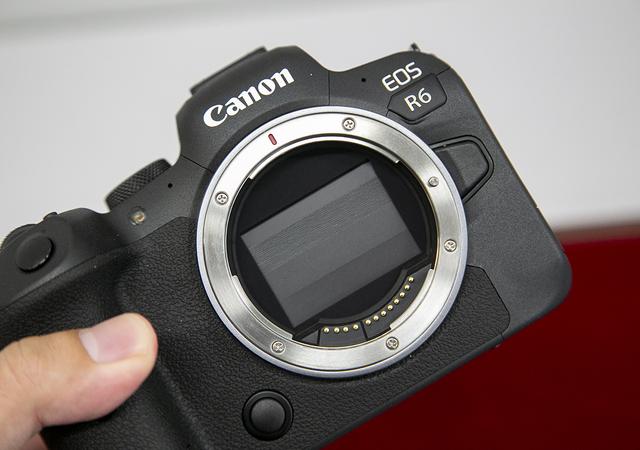 20200709gizmodo_eosr5-r6_IMG_3219