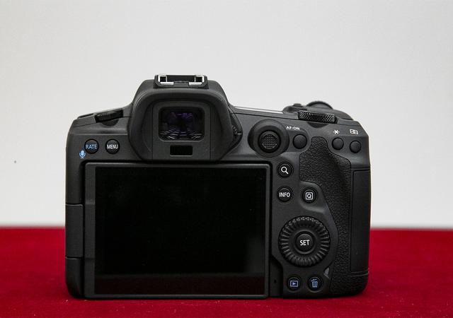 20200709gizmodo_eosr5-r6_IMG_3252