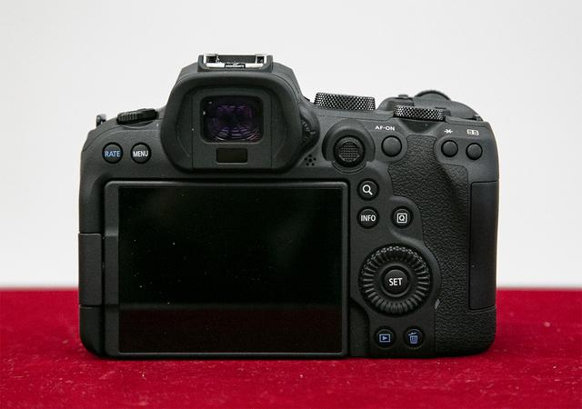 20200709gizmodo_eosr6_IMG_3232