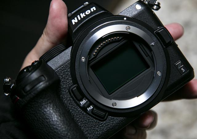 20200721nikon_z5_IMG_3515