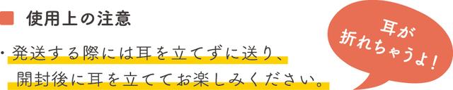 200801nekomimibox_02-1