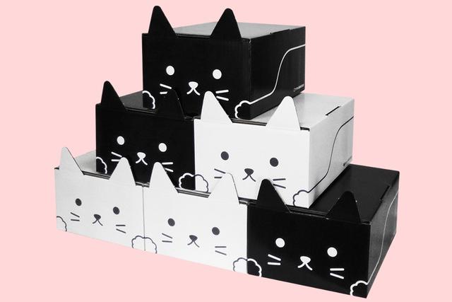 200801nekomimibox_04
