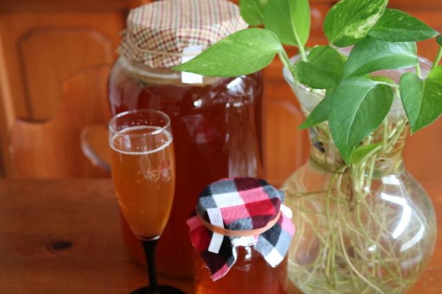 20200827KOmbucha_with_glass
