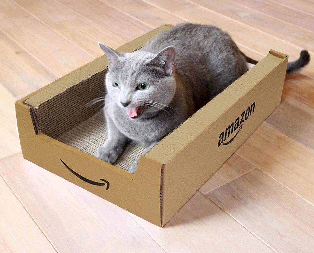 にゃんと、Amazon箱の猫用つめみがきが登場だニャー
