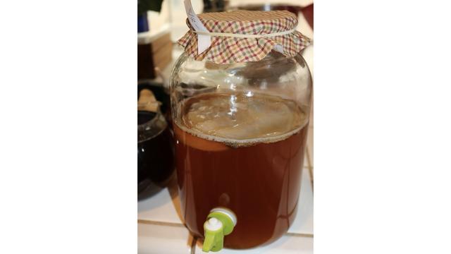 20200823Kombucha_mother