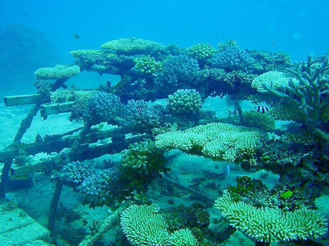 200903_sango_3.jpg