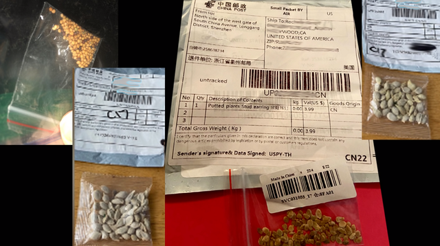 謎の種騒ぎでブラッシング詐欺表面化…のAmazonが種の米国輸出禁止令