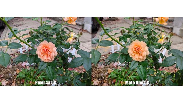 20201106_pixel4a_10