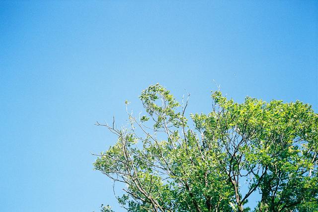FH010023