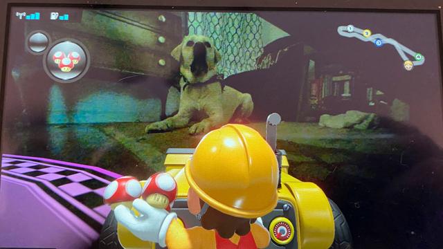 201125MarioKartLive-HomeCircuit5
