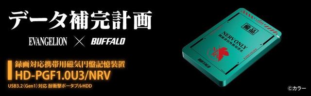 210118_evabuffalo