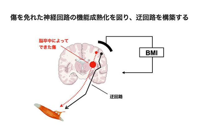 Mugendai_2012_Ushiba_07