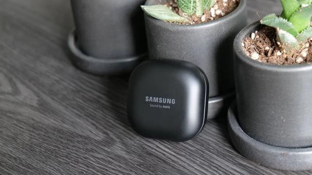 earbuds7