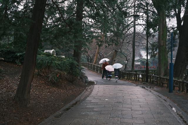 210124fujifilmxe4_sakurei4
