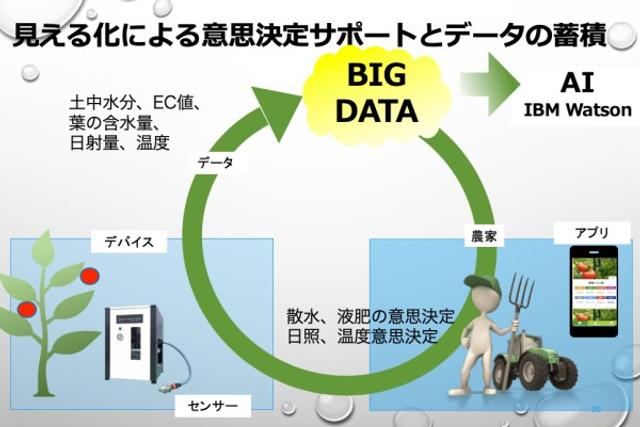 極小の泡が農業に効く。AIを活用して目指す「農業改革」とは