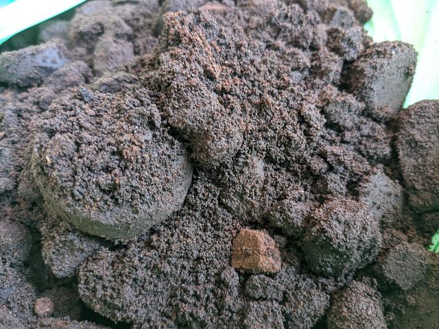 20210405starbucks_coffee_grounds_espresso