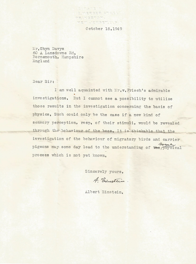 2021-0524-einstein-ponders-bird-in-letter-02