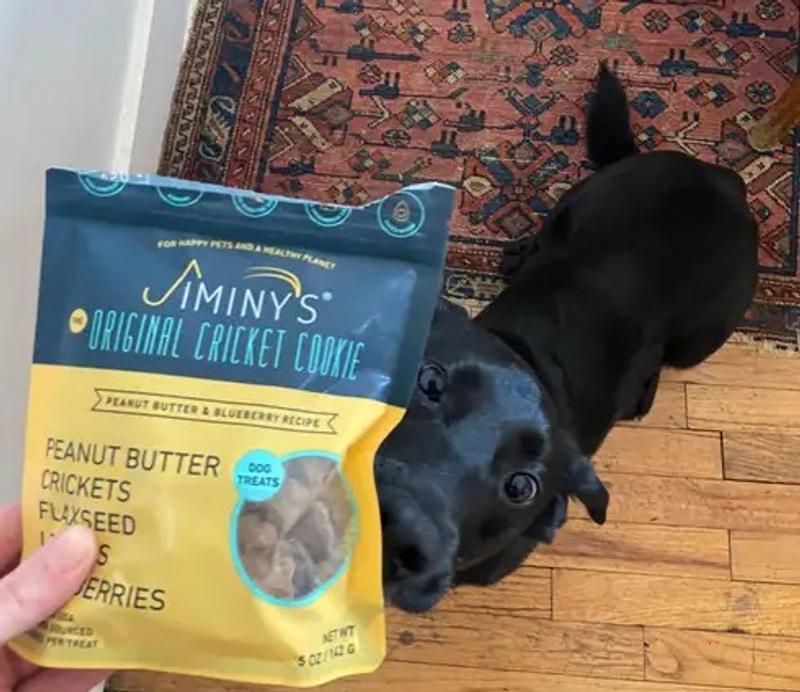 愛犬に虫でできたペットフードをあげてみた | ギズモード・ジャパン