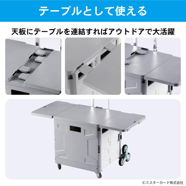 210610_cart2