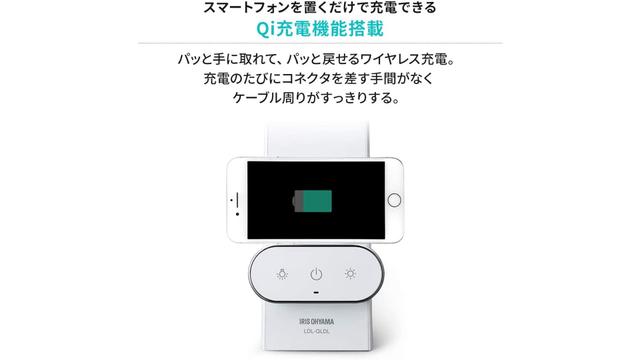 PDIrsOyama-02